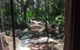 Byron Bay Rainforest Resort - thumb 5