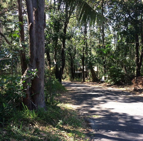 Byron Bay Rainforest Resort - Accommodation NSW 3