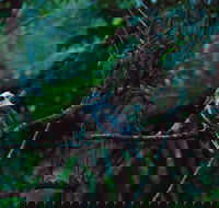 Broken River Mountain Resort - Accommodation NSW