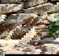 Jenolan Caves House - Accommodation NSW