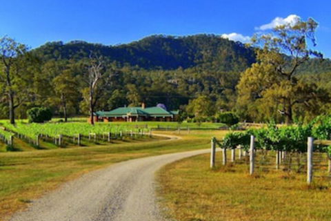 Ascella Organic Wine - Accommodation NSW 0