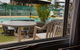 South Pacific Palms Motor Inn - thumb 4