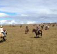 Susan River Homestead - Accommodation NSW