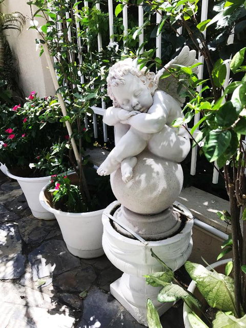 Cairns Motor Inn - Accommodation NSW 2