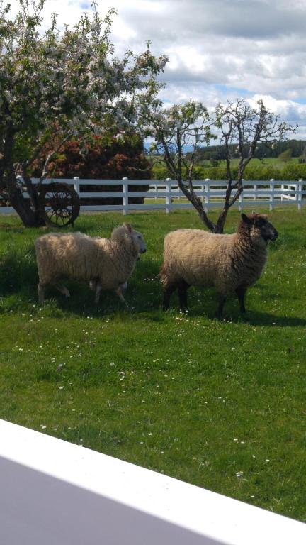 Little Sunnyside Accommodation - Accommodation NSW 5