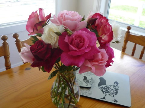 Little Sunnyside Accommodation - Accommodation NSW 2