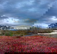 Saintys Creek Cottage - Accommodation NSW