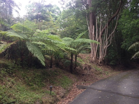 Koompartoo Retreat - Accommodation NSW 2