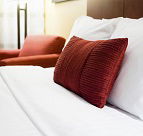 Kurrajong Vineyard - Accommodation NSW