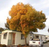 Wodonga Caravan  Cabin Park - Accommodation NSW