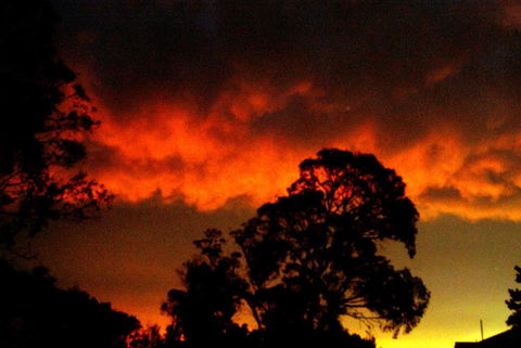 Taits Place Vineyard B & B - Accommodation NSW 2