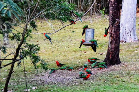 Copeland House - Accommodation NSW 7