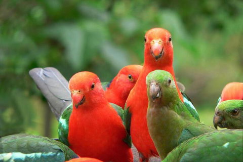 Copeland House - Accommodation NSW 2