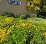 Esk Motel - Accommodation NSW