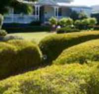 Whiskey Gully Wines - Accommodation NSW