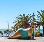 Alex Headland Beachfront - Accommodation NSW