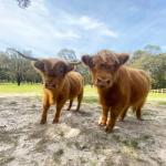 Nangana VIC Accommodation NSW