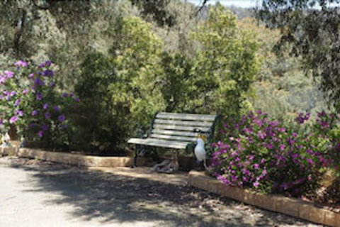 Wild Cherry Bed & Breakfast - Accommodation NSW 3