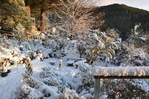Pipeline Chalet Kunanyi Mt. Wellington - Accommodation NSW 4