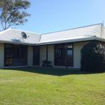 Molly Morgan Vineyard - Accommodation NSW 0
