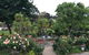 Wonderland Hobby Farm - thumb 0