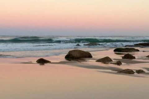 Apricari Oasis By The Sea - Accommodation NSW 4