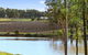 Ironbark Villa 4 - thumb 6