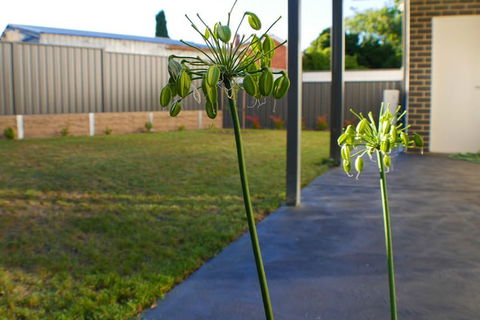 Maison Executive - Accommodation NSW 3