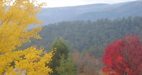 Goldberryaccommodation - Accommodation NSW 6