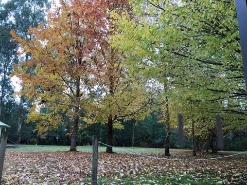 Goldberryaccommodation - Accommodation NSW 1