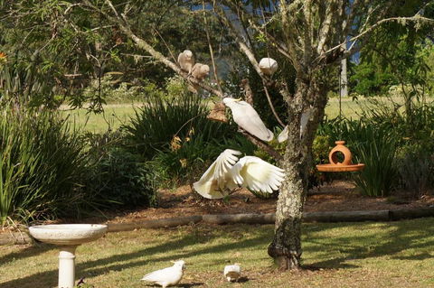 Vicarage View Cottage - Accommodation NSW 5