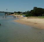 Black Dolphin Waterfront Townhouse Bay Views - Accommodation NSW