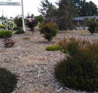 Altona Motel - Accommodation NSW