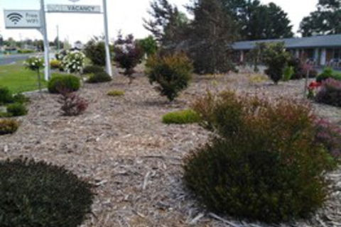 Altona Motel - Accommodation NSW 0