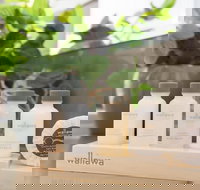 BOUTIQUE STAYS - Maple on Kent - Accommodation NSW