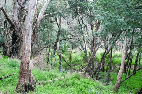 34 On Emily - Accommodation NSW 4