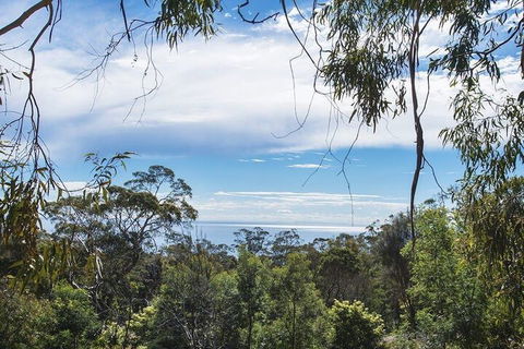 Bellevue Sur Mer - Accommodation NSW 3