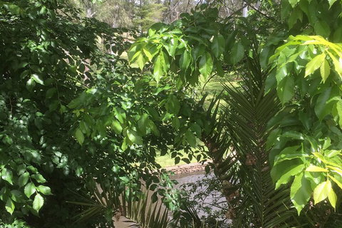 Central Wangaratta Motel - Accommodation NSW 3