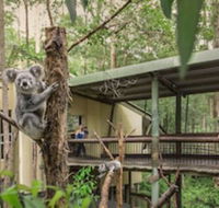 Springwood Meditation Vacation Center - Accommodation NSW