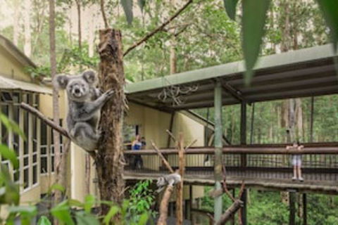 Springwood Meditation Vacation Center - Accommodation NSW 0