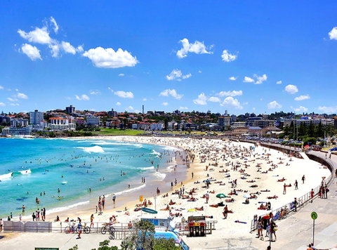 BONDI BEACH RETREAT (016i) - Accommodation NSW 5