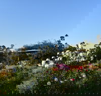 Labertouche Gypsy Creek Winery - Accommodation NSW