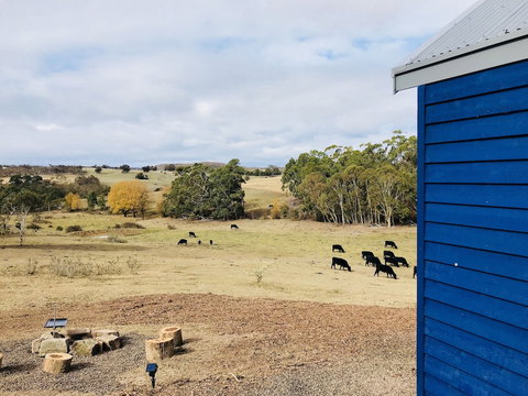 In2thewild - Walden - Accommodation NSW 7