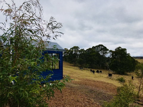 In2thewild - Walden - Accommodation NSW 1
