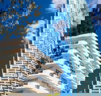 Private G / F 1 bedroom Apartment Outdoor Patio Cross the Road to Beach - Accommodation NSW