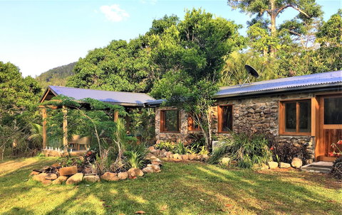 Palm Grove Rainforest Retreat - Accommodation NSW 1