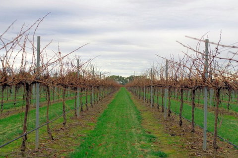 Yalumba Menzies Retreat - Accommodation NSW 5