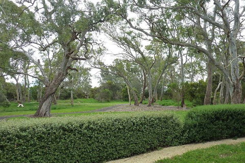 Yalumba Menzies Retreat - Accommodation NSW 2