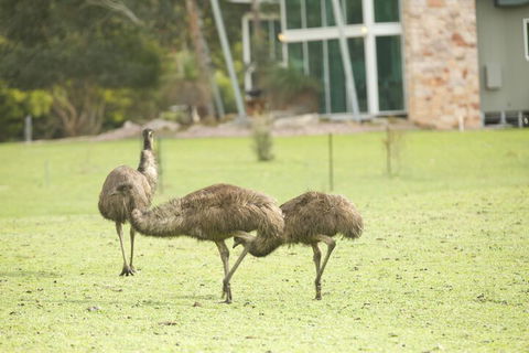 Ironstone Romantic Couples Retreat - Accommodation NSW 1