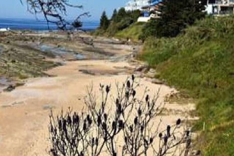 Surf Side Palms 12 - Accommodation NSW 7